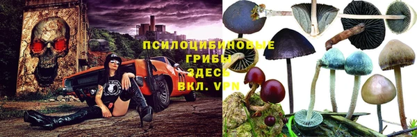 дживик Балабаново