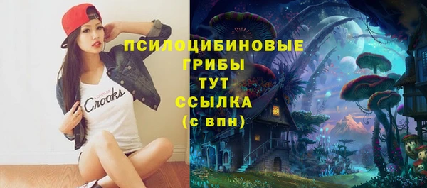 ГАЛЛЮЦИНОГЕННЫЕ ГРИБЫ Баксан