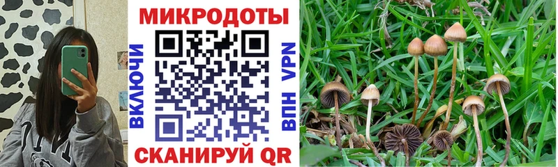 hydra сайт  Шахунья  Псилоцибиновые грибы Magic Shrooms 